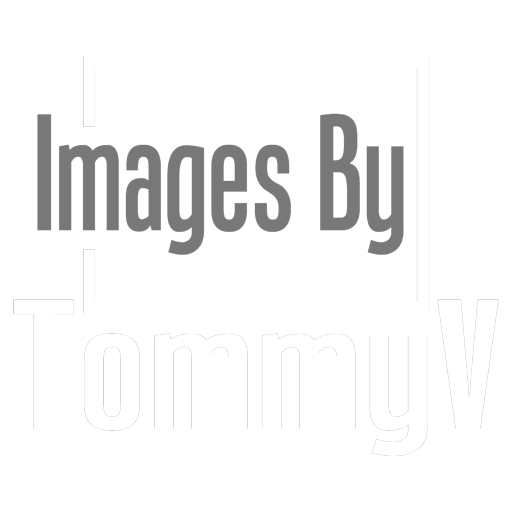 Images By TommyV Photography | Tom Vollert | Photographer / Author